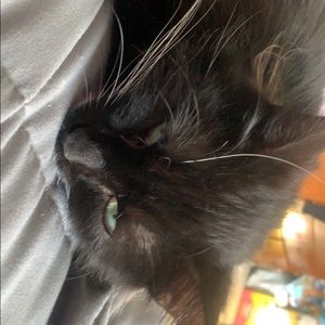 Meet your Posher, Stefanie